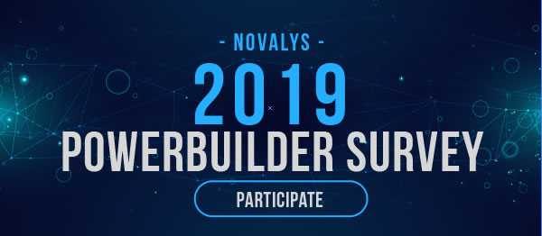 PowerBuilder Projects Global Survey by Novalys