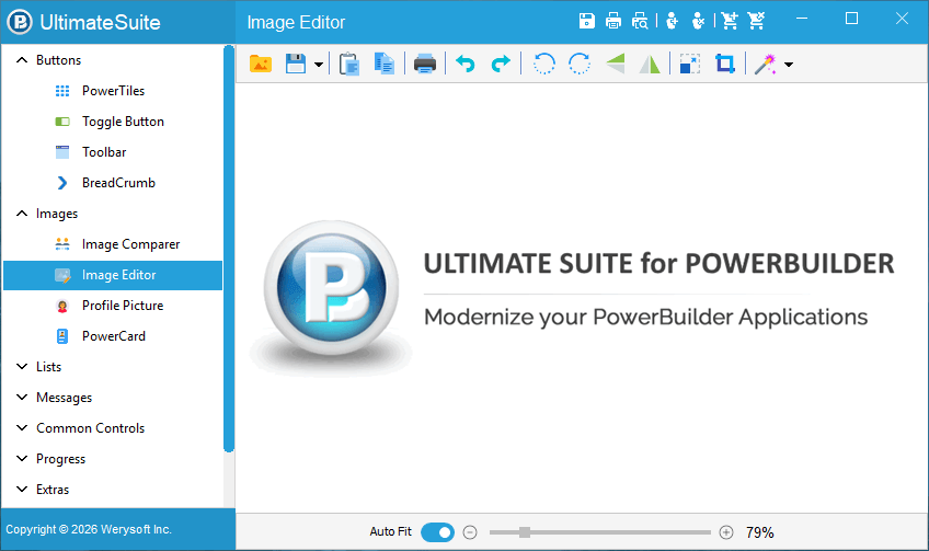 SPA SideMenu base window with a side menu on the left and a user object open as a panel